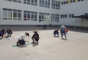 20190424_102915 20190424_102915